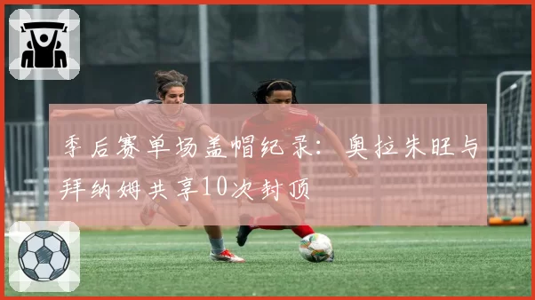 季后赛单场盖帽纪录：奥拉朱旺与拜纳姆共享10次封顶