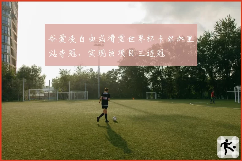 谷爱凌自由式滑雪世界杯卡尔加里站夺冠，实现该项目三连冠